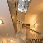 Luxus Sonnenhang Mit Sauna & Sommercard 度假居 *