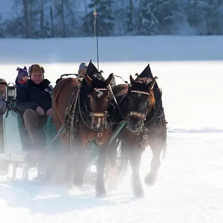 Am Sonnenhang 8 - 150m Skilift - Met Sauna