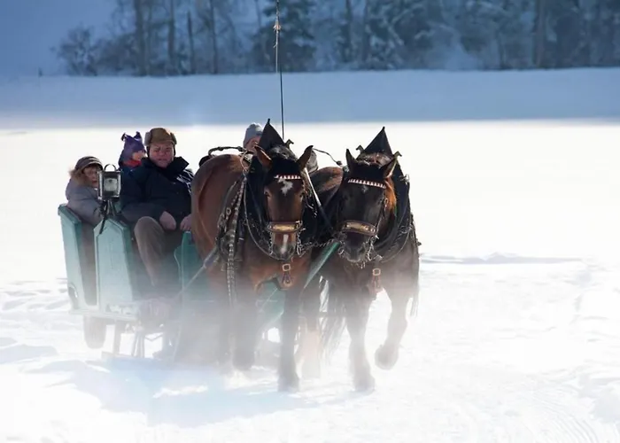 Am Sonnenhang 8 - 150m Skilift - Met Sauna